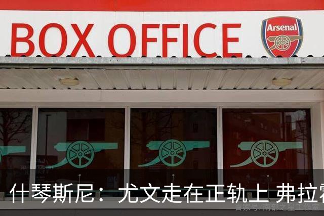什琴斯尼：尤文走在正轨上 弗拉霍维奇非常出色