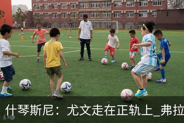 什琴斯尼：尤文走在正轨上 弗拉霍维奇非常出色